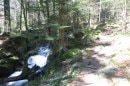 La Savoureuse du Rummel à l'Etang du Petit Haut